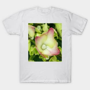 Hydrangea T-Shirt